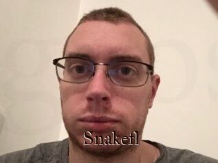 Snakefl
