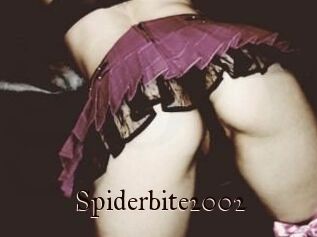 Spiderbite2002