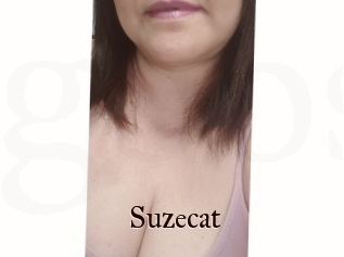 Suzecat