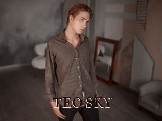 TEO_SKY