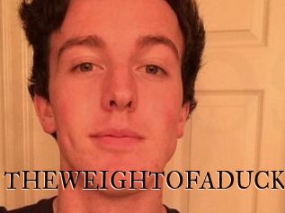 THEWEIGHTOFADUCK