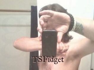 TSFidget