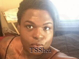 TS_Shea