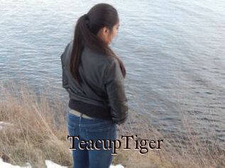 TeacupTiger
