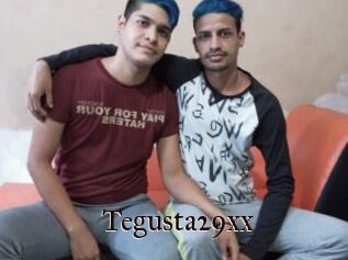 Tegusta29xx