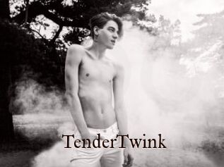 TenderTwink