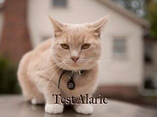 TestAlaric