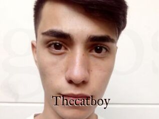 Thecatboy