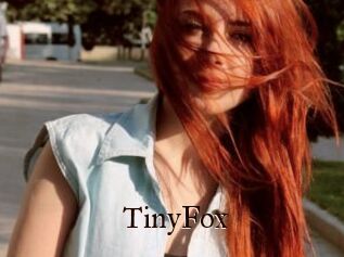 TinyFox
