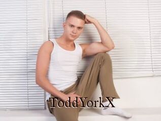ToddYorkX