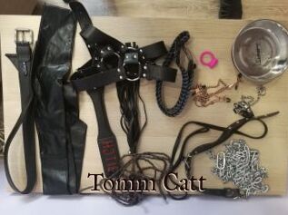 Tomm_Catt