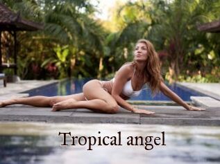 Tropical_angel