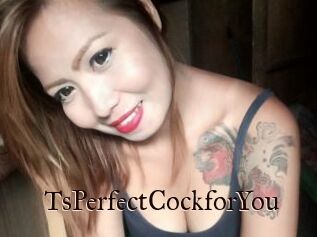 TsPerfectCockforYou