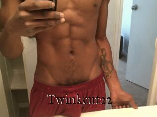 Twinkcut22