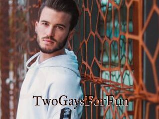 TwoGaysForFun