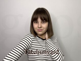 Tatebunyard