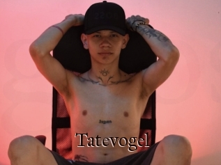 Tatevogel