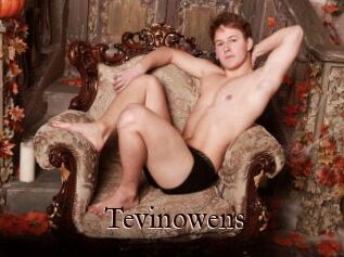 Tevinowens