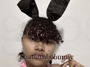 Thatbimbobunny