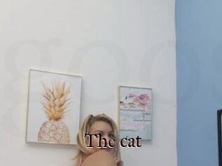 The_cat
