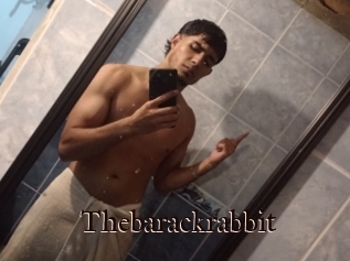 Thebarackrabbit