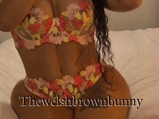 Thewelshbrownbunny