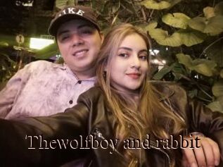 Thewolfboy_and_rabbit