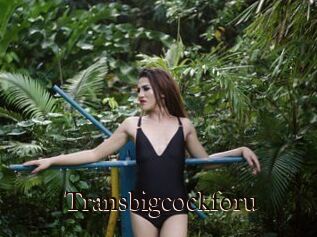 Transbigcockforu