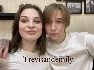 Trevisandemily