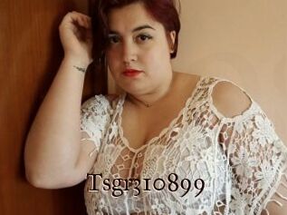 Tsgr310899