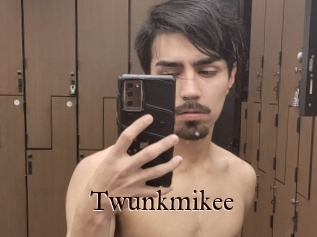 Twunkmikee