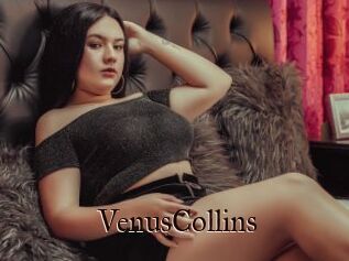 VenusCollins