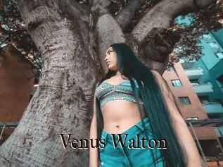 Venus_Walton