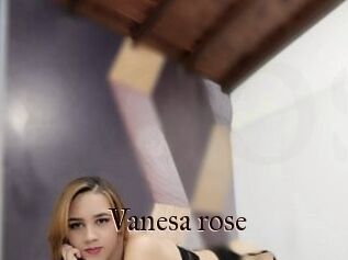 Vanesa_rose