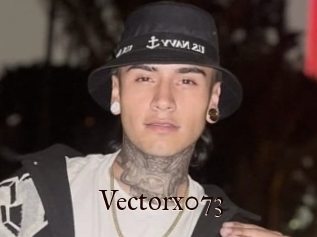 Vectorx073