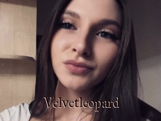 Velvetleopard