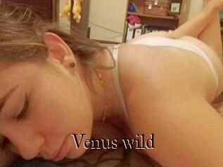 Venus_wild