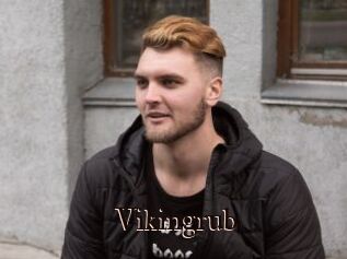 Vikingrub