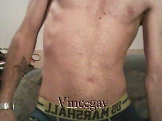 Vincegay