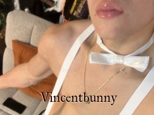 Vincentbunny