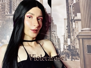 Violetarose