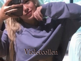 Violetcollen