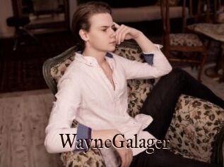 WayneGalager