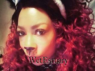 WetEstuary