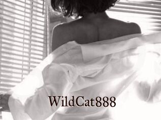 WildCat888