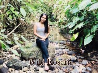 Wild_Rose18