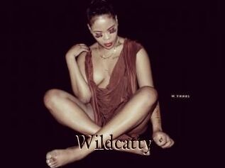 Wildcatty