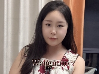 Wangmiao