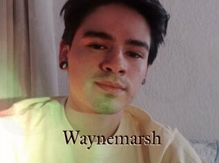 Waynemarsh