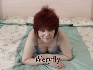 Weryfly